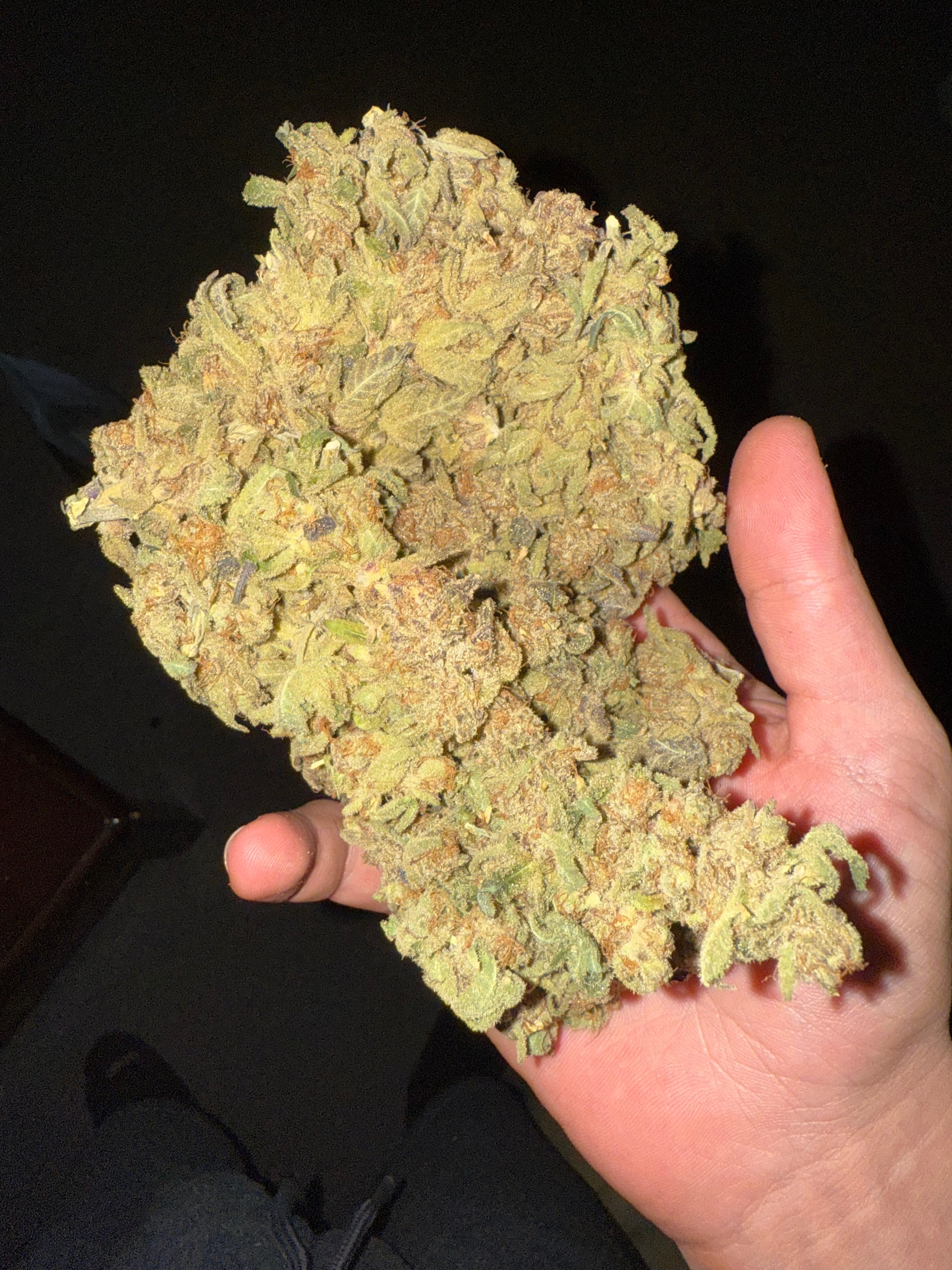 Throw back to the purple Punch Quick by Supernaturalny that I ran for my first indoor plant π³ β photo 1