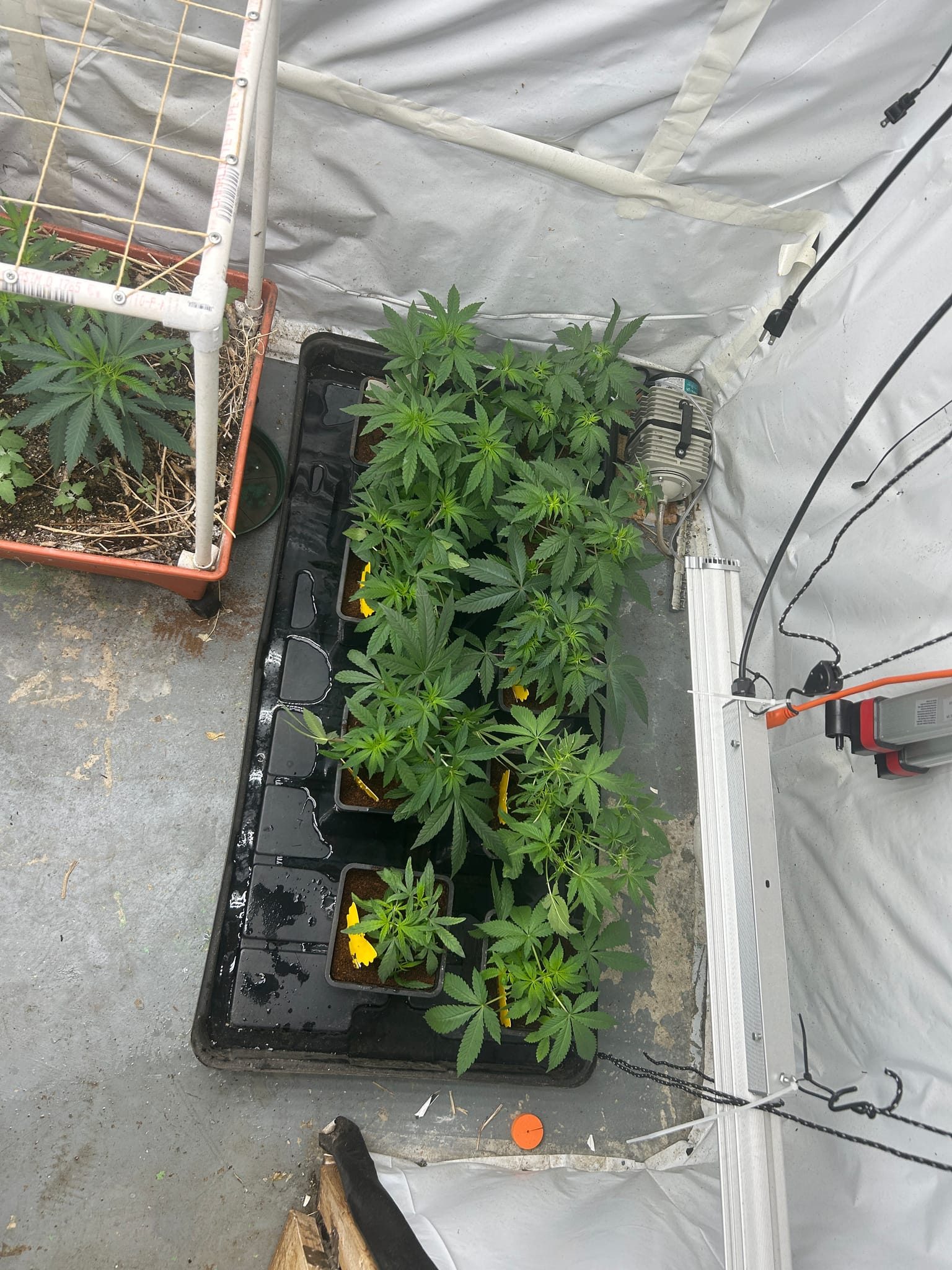 Taking off after getting more room