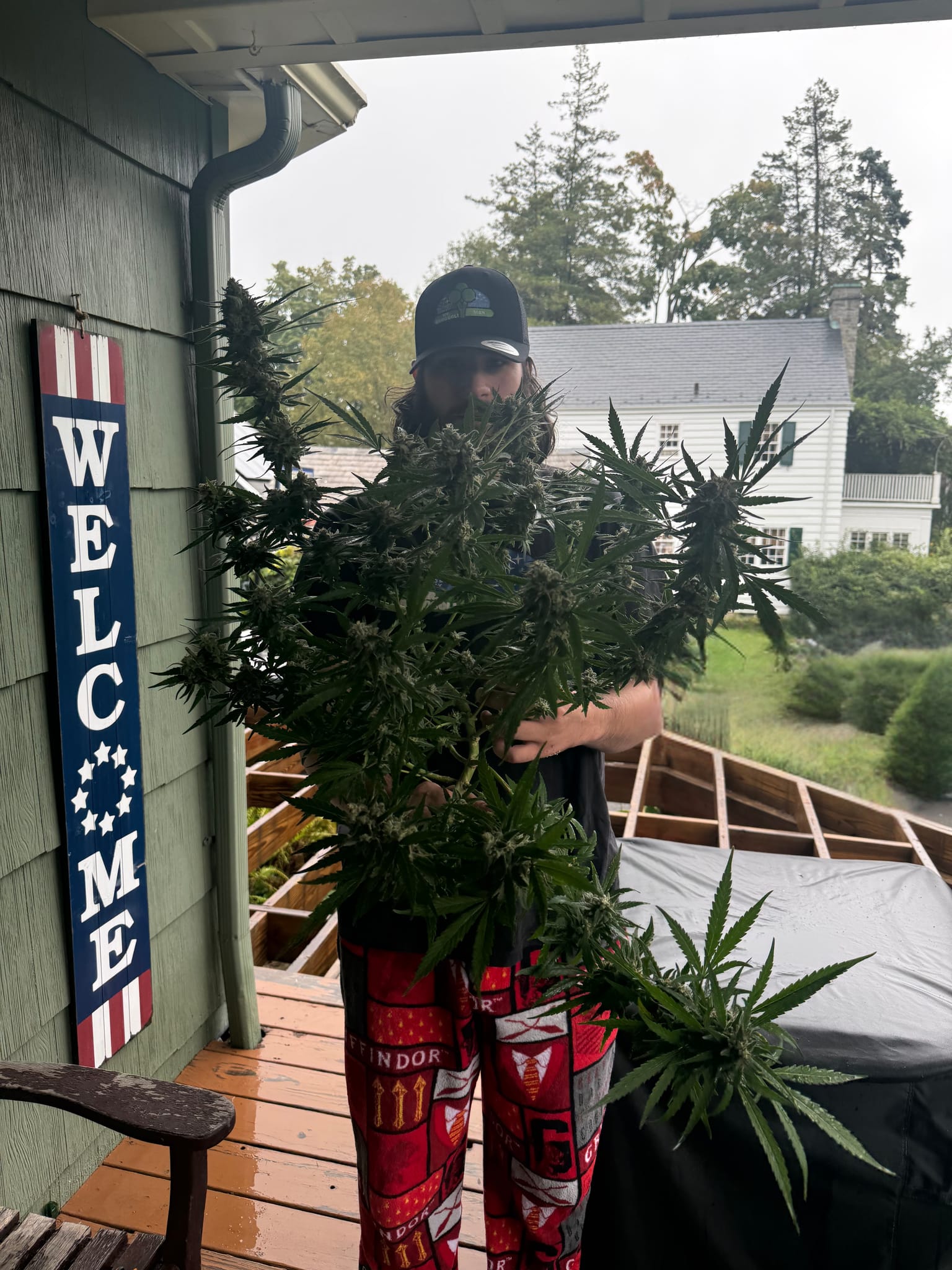 15 Weeks and 6 days of Purp 2.0 in 5 gallon

It’s a sad day but purp 2.0 is officially culled. Bud rot got the best of purp 2.0 and I cut my losses. Not even worth tryna save it and bring it near my main tent. Of course I had to take my pics with her before she left for good. But on another note do you see the size of that main stem top nug 😳🥲

P.S. Funny enough i literally said to @sly_aka_loco that i wanted to run a test on one of the nugs so I can see what mold looks like on a nug and welp i guess that experiment ran its course 😂💀

P.S. info on why I I clipped the one nug off on IOP 👀
 
#seedtoharvest #outdoor #plantgrowth #purplepunch #homegrow — photo 2