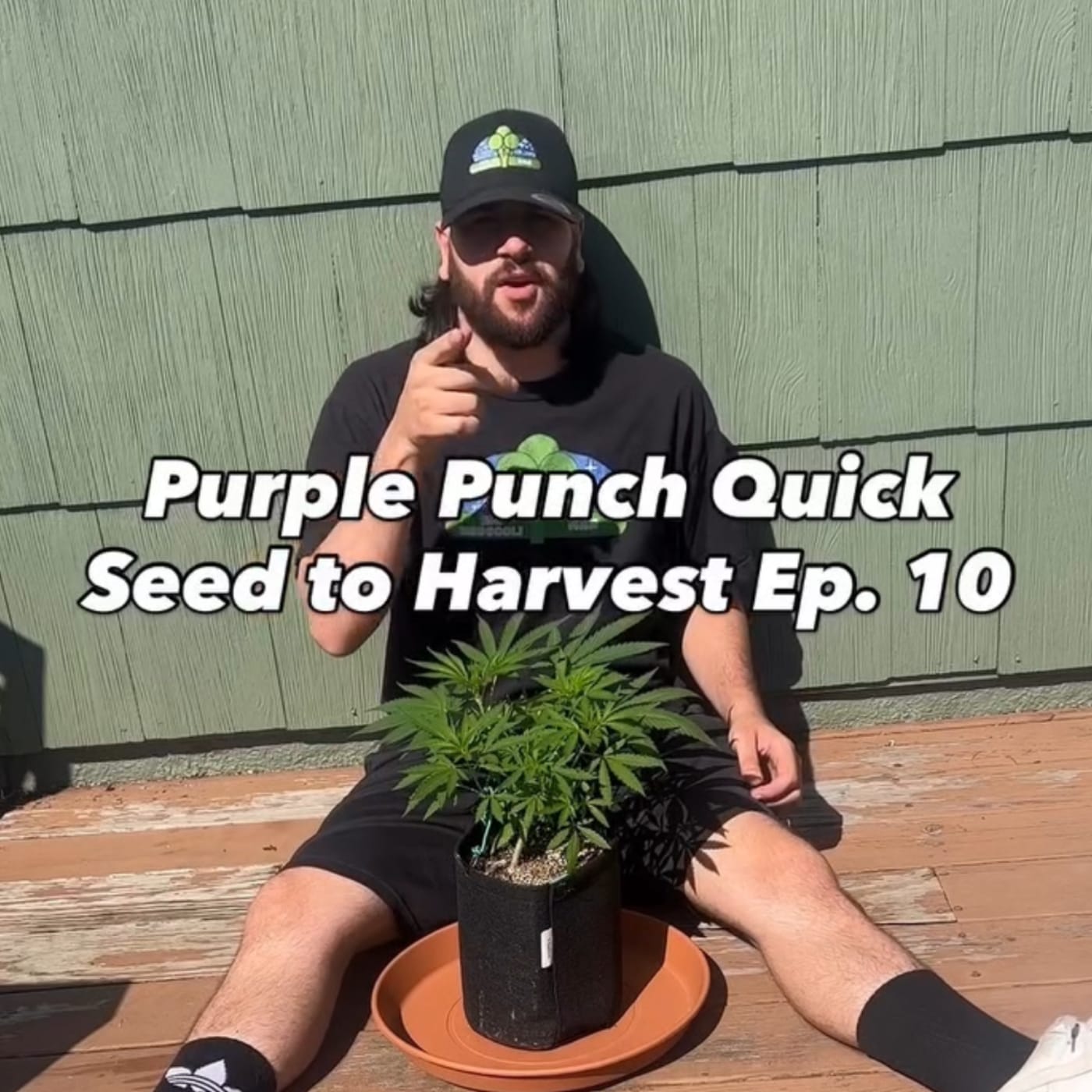 Cannabis grow update by @mrbroccoliman38563 on Internet of Pot