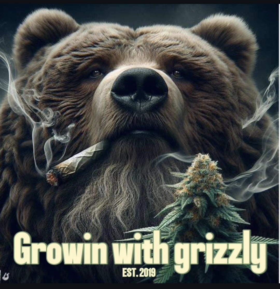 Grizzly Lee