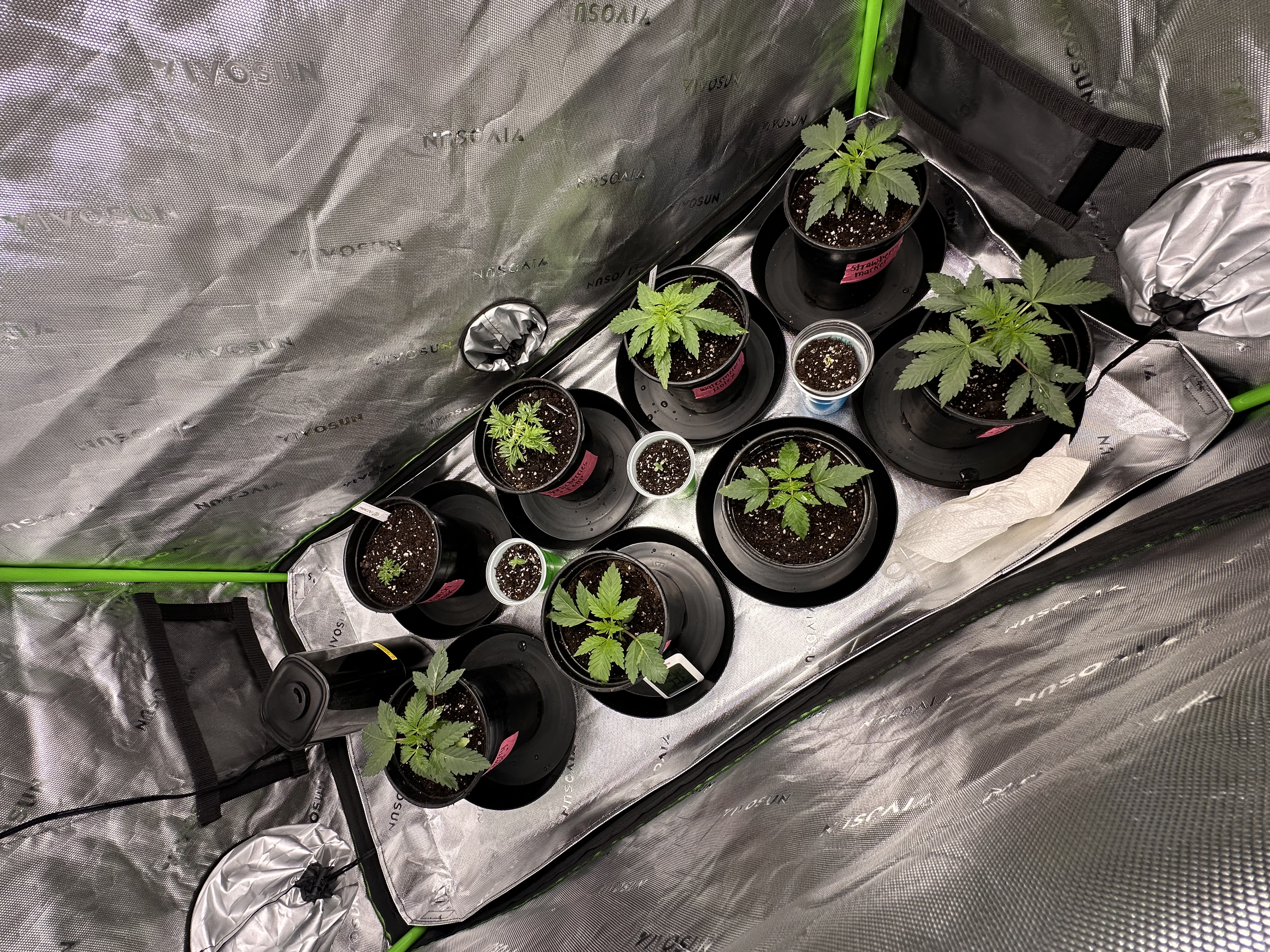 Mini jungle 💚