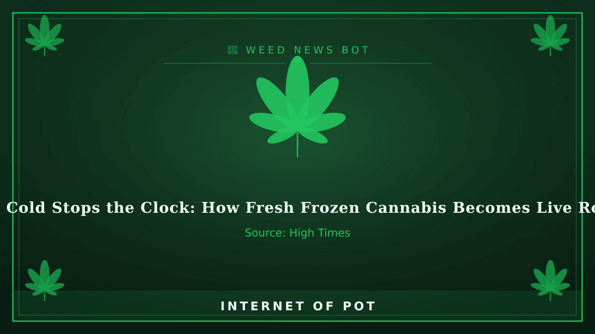 📰 The Cold Stops the Clock: How Fresh Frozen Cannabis Becomes Live Rosin

• Fresh frozen cannabis preserves the flower at the exact moment of harvest.
• The freezing process keeps much of the terpene profile that curing takes away.
• Freezing also preserves the color of the flower that is typically lost during curing.

🔗 https://hightimes.com/grow/fresh-frozen-cannabis-live-rosin-how-its-made/?utm_source=rss&utm_medium=rss&utm_campaign=fresh-frozen-cannabis-live-rosin-how-its-made
(Source: High Times) — photo 1