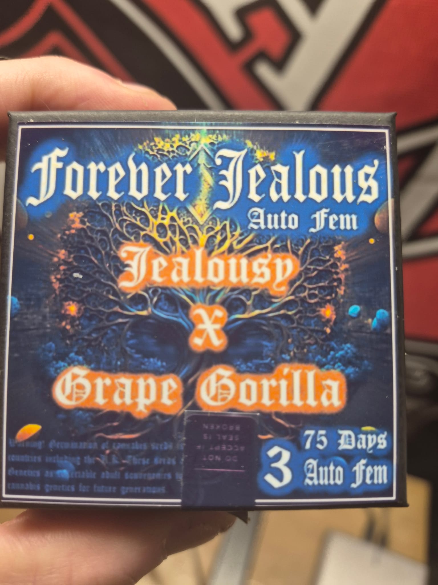The next run of Autos here in the Grizzly Bear's Cave of Cannabis. Some random auto fems from  Aeque Genetics — photo 3