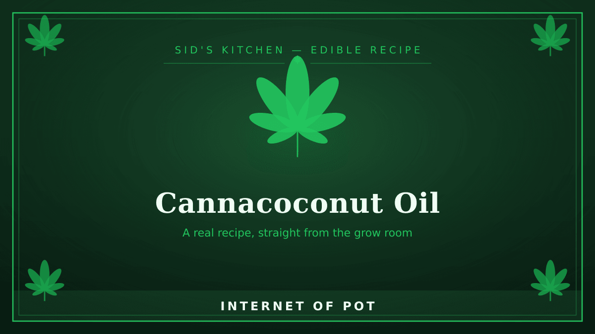 Cannabis grow update by @sid on Internet of Pot