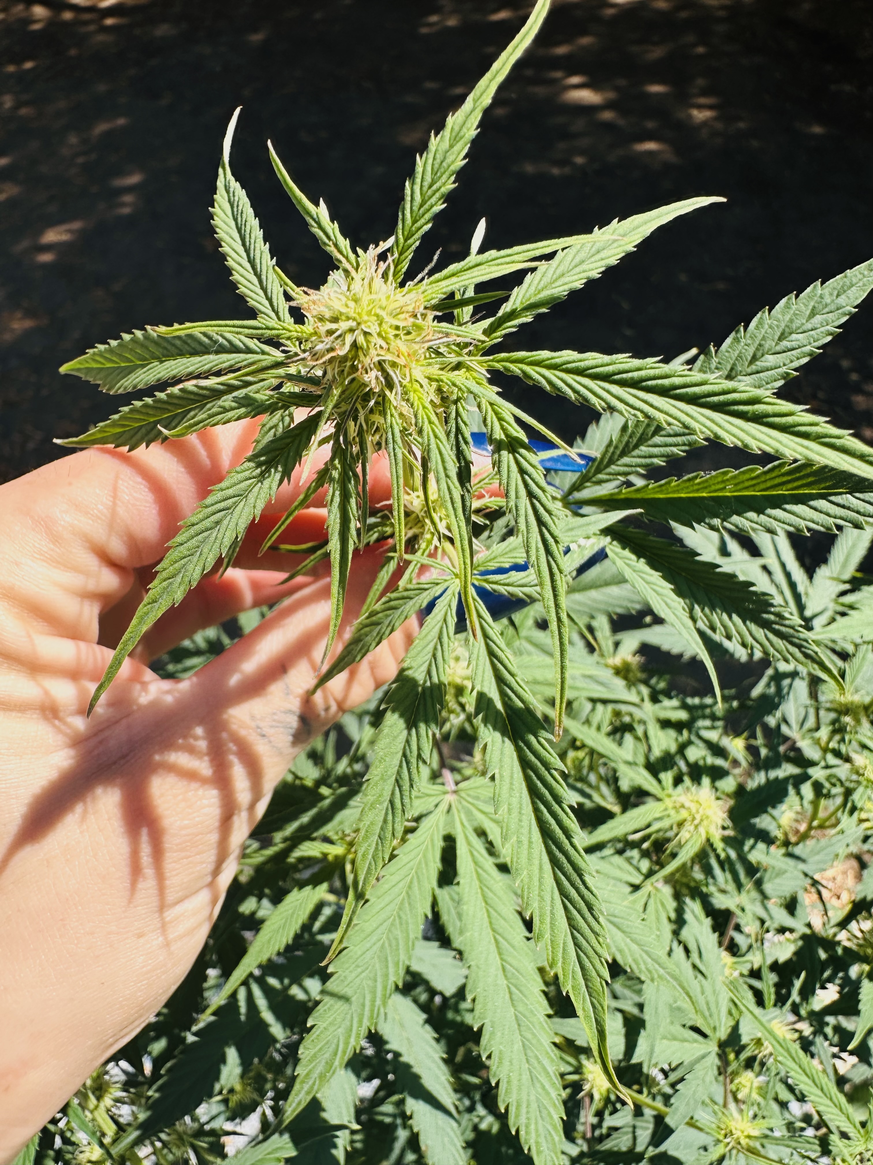 What’s up my dudes!!! Just wanted to take a second and say hi and mahalo for being here. Truly happy to have yall on here 🤘🏼