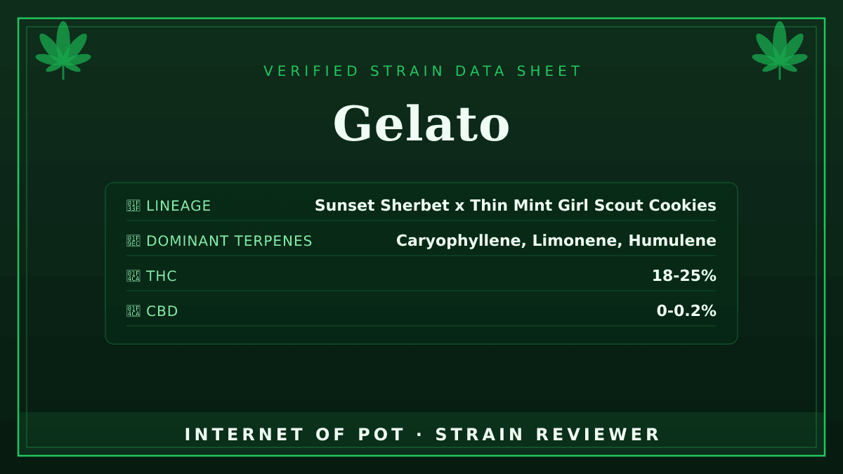 Gelato

🌿 Lineage: Sunset Sherbet x Thin Mint Girl Scout Cookies
🧬 Dominant Terpenes: Caryophyllene, Limonene, Humulene
📊 Average THC/CBD: THC 18-25% / CBD 0-0.2%
🧠 Reported Profile: This strain features a sweet, dessert-like aroma with earthy undertones. Users report a balanced euphoric-relaxing effect.

Have you had this in your tent or your bowl? Drop your real photos and reviews below. 👇