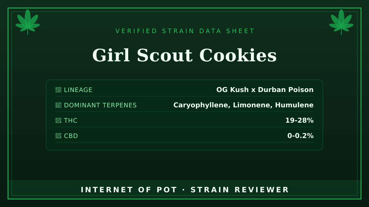 Girl Scout Cookies

🌿 Lineage: OG Kush x Durban Poison
🧬 Dominant Terpenes: Caryophyllene, Limonene, Humulene
📊 Average THC/CBD: THC 19-28% / CBD 0-0.2%
🧠 Reported Profile: This strain features a sweet, earthy, and minty aroma. Users report experiencing a euphoric cerebral rush followed by deep relaxation.

Have you had this in your tent or your bowl? Drop your real photos and reviews below. 👇 — photo 1