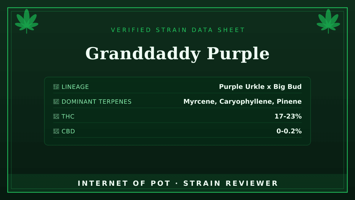 Granddaddy Purple

🌿 Lineage: Purple Urkle x Big Bud
🧬 Dominant Terpenes: Myrcene, Caryophyllene, Pinene
📊 Average THC/CBD: THC 17-23% / CBD 0-0.2%
🧠 Reported Profile: This strain is known for its deep purple coloration and a distinct grape and berry aroma. Growers and consumers report that it delivers a strong, sedating body relaxation.

Have you had this in your tent or your bowl? Drop your real photos and reviews below. 👇 — photo 1