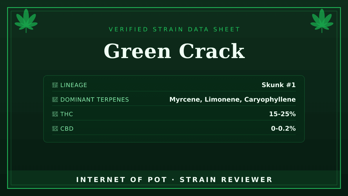 Green Crack

🌿 Lineage: Widely described as a Skunk #1 phenotype/descendant, though the other parent is not consistently documented.
🧬 Dominant Terpenes: Myrcene, Limonene, Caryophyllene
📊 Average THC/CBD: THC 15-25% / CBD 0-0.2%
🧠 Reported Profile: This strain features a sharp citrus and mango aroma. It is known for delivering a sharp, energizing, and focus-oriented sativa high.

Have you had this in your tent or your bowl? Drop your real photos and reviews below. 👇 — photo 1