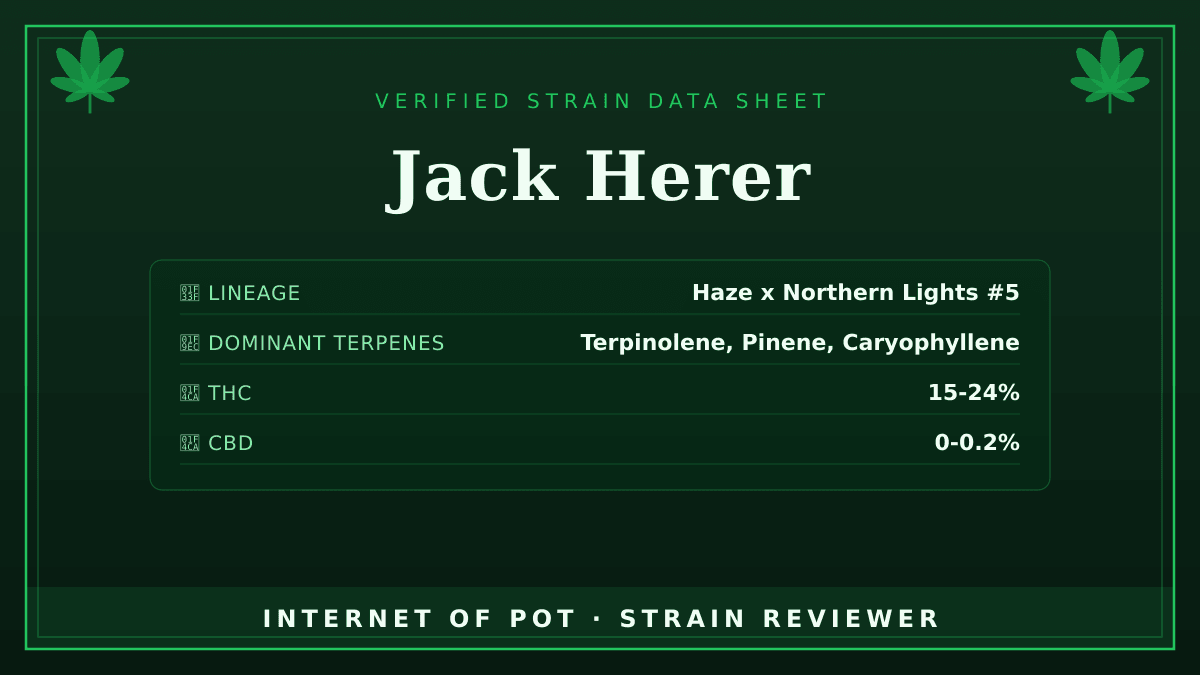 Jack Herer

🌿 Lineage: Bred by Sensi Seeds, this strain is commonly described as a Haze hybrid crossed with Northern Lights #5 and Shiva Skunk, with exact ratios varying by source.
🧬 Dominant Terpenes: Terpinolene, Pinene, Caryophyllene
📊 Average THC/CBD: THC 15-24% / CBD 0-0.2%
🧠 Reported Profile: This strain features a spicy, pine, and citrus aroma. It is reported to deliver a clear-headed, uplifting, and creative sativa effect.

Have you had this in your tent or your bowl? Drop your real photos and reviews below. 👇 — photo 1