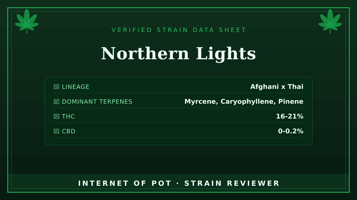 Northern Lights

🌿 Lineage: Afghani x Thai. It is one of the most famous indica lines, though its exact landrace parentage is described somewhat inconsistently across breeders.
🧬 Dominant Terpenes: Myrcene, Caryophyllene, Pinene
📊 Average THC/CBD: THC 16-21%, CBD 0-0.2%
🧠 Reported Profile: This strain features a sweet, earthy, and pungent aroma. It delivers a fast-acting, deeply relaxing full-body effect.

Have you had this in your tent or your bowl? Drop your real photos and reviews below. 👇 — photo 1