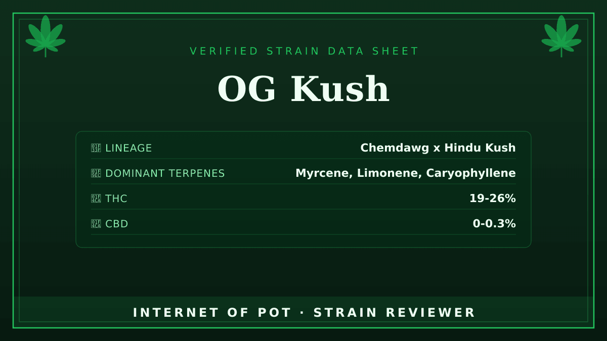 OG Kush

🌿 Lineage: Widely cited as Chemdawg x Hindu Kush (sometimes with Lemon Thai/Pakistani Kush), but the true parentage was never confirmed and remains disputed among breeders.
🧬 Dominant Terpenes: Myrcene, Limonene, Caryophyllene
📊 Average THC/CBD: THC 19-26% / CBD 0-0.3%
🧠 Reported Profile: This strain features an earthy, fuel, and pine aroma. It delivers a heavy, euphoric high along with strong body relaxation.

Have you had this in your tent or your bowl? Drop your real photos and reviews below. 👇 — photo 1