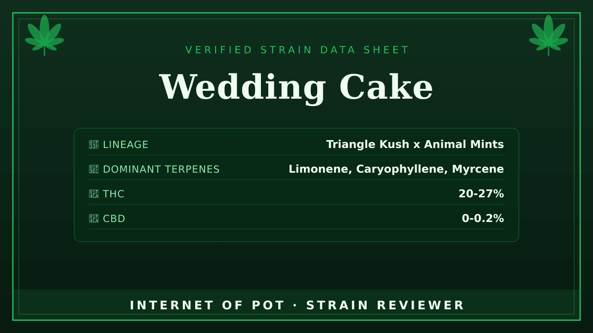 Wedding Cake

🌿 Lineage: Triangle Kush x Animal Mints, bred by Seed Junky Genetics, though some sources instead describe it as a Cherry Pie x GSC phenotype, so the exact parentage is debated.
🧬 Dominant Terpenes: Limonene, Caryophyllene, Myrcene
📊 Average THC/CBD: THC 20-27% / CBD 0-0.2%
🧠 Reported Profile: This strain features a rich, tangy, and vanilla-sweet aroma. Consumers report a relaxing, euphoric effect accompanied by heavy body sedation.

Have you had this in your tent or your bowl? Drop your real photos and reviews below. 👇